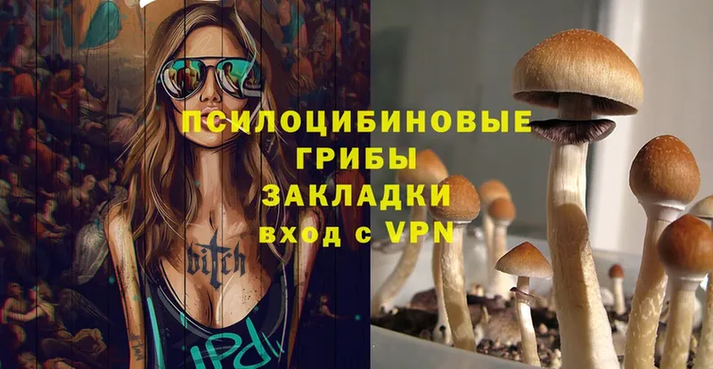 Галлюциногенные грибы Psilocybine cubensis  OMG ONION  Высоковск 